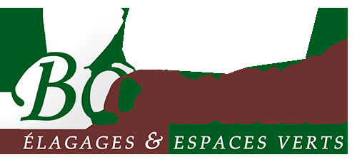 Jardinier paysagiste, entretien et création de jardin Avignon, Carpentras,Cavaillon, Les angles, Saint Rémy de Provence Bô Gardens